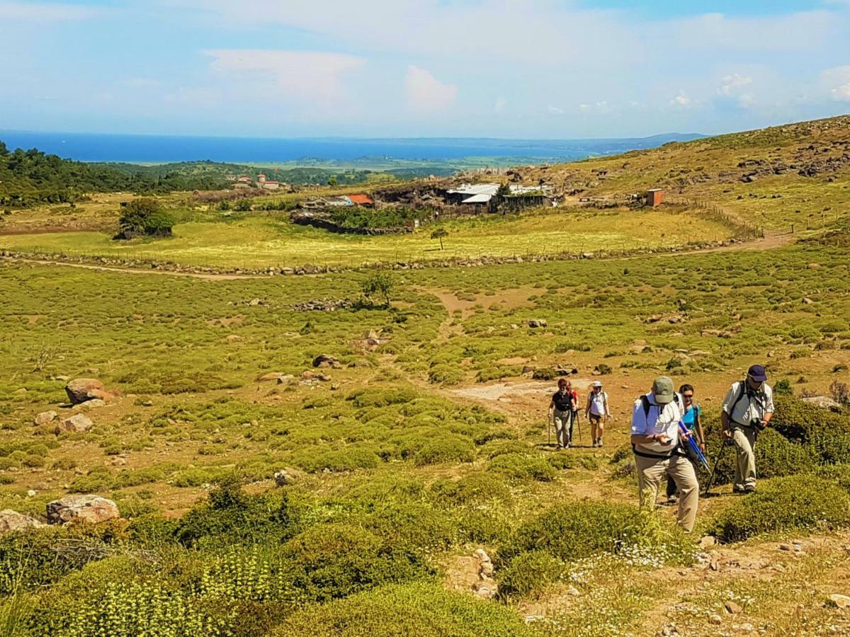 Affittacamere Alterna Koey Evi Ayvacik Esterno foto