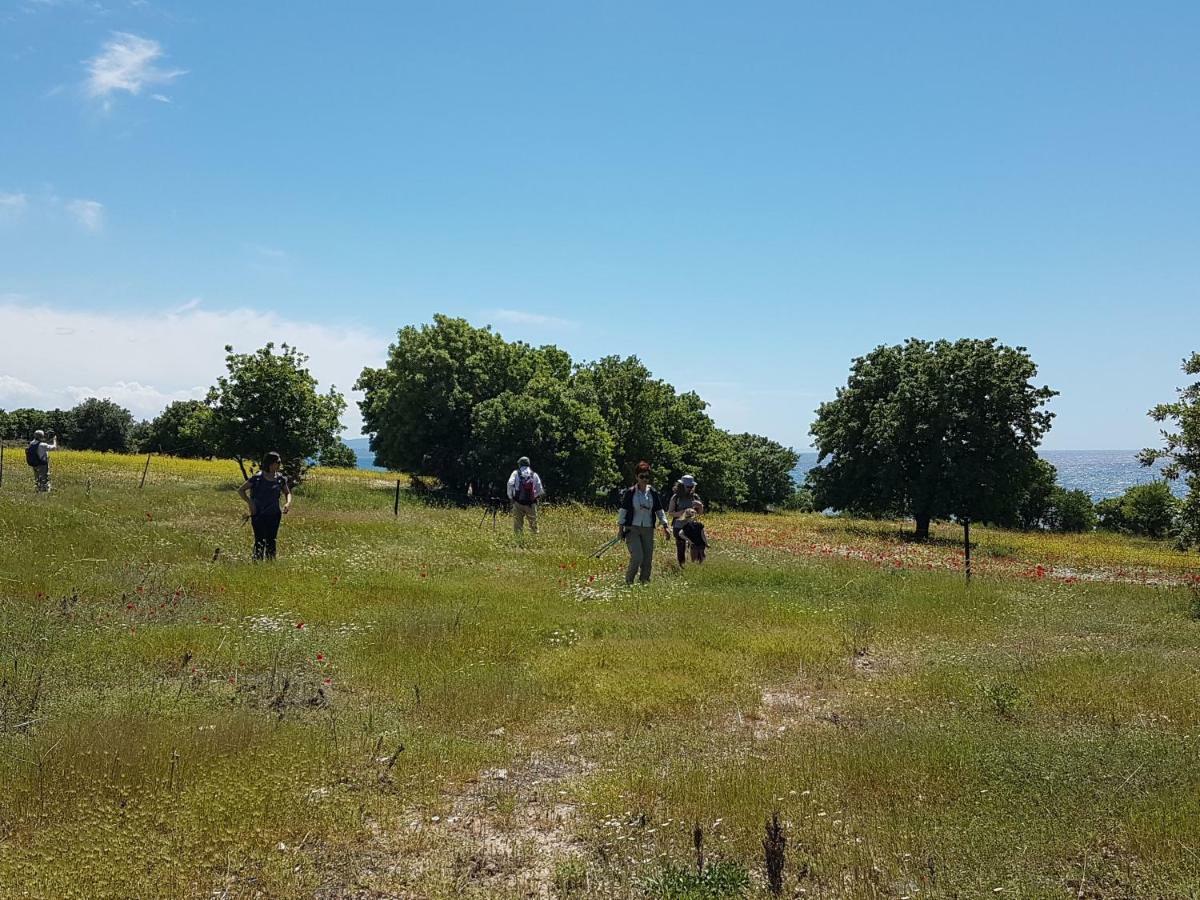 Affittacamere Alterna Koey Evi Ayvacik Esterno foto